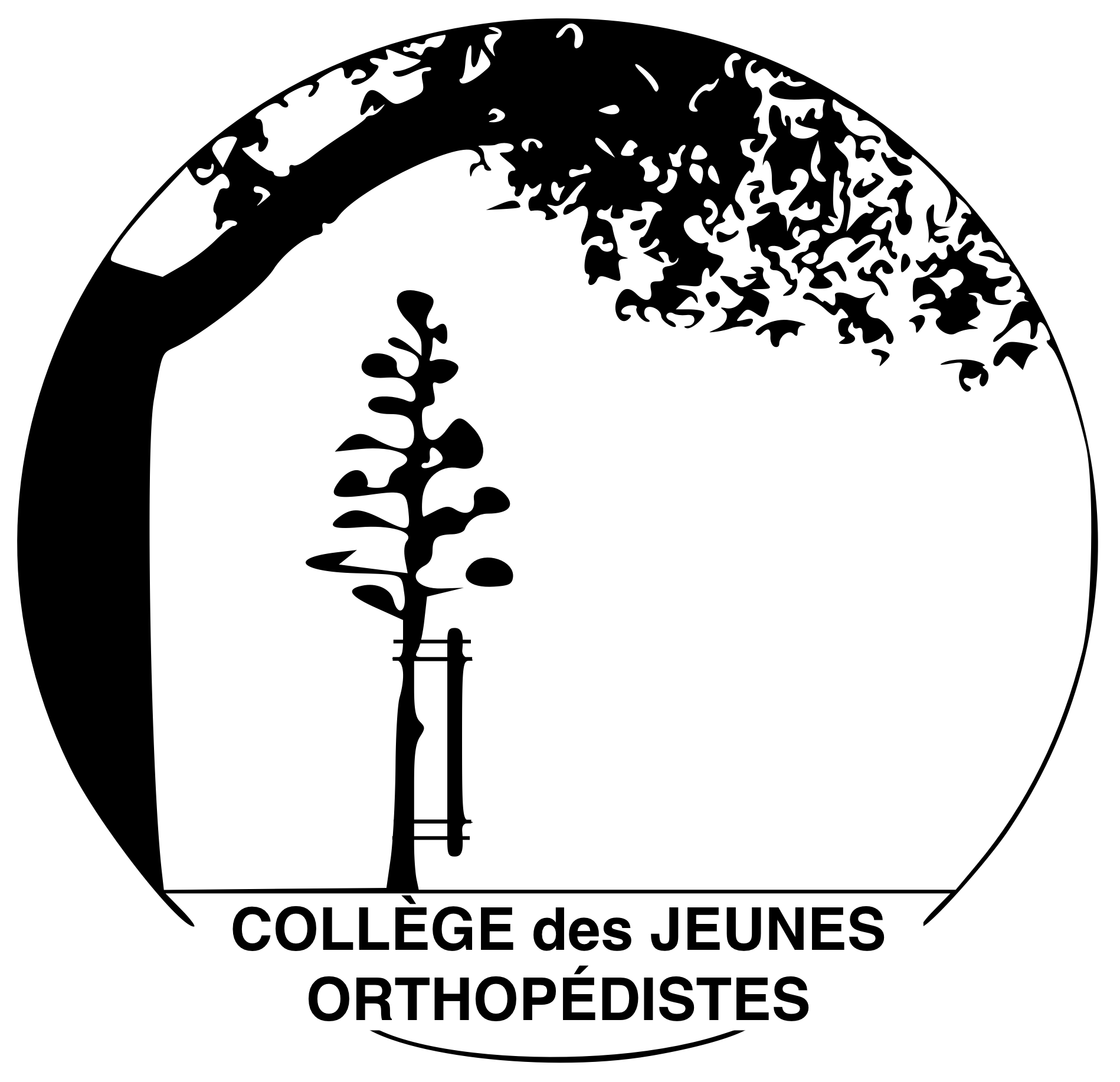 Collège des jeunes Orthopédistes